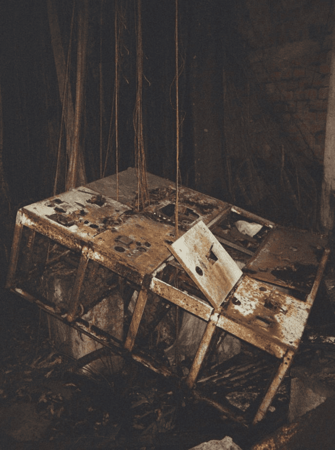 Vestiges de la plantation