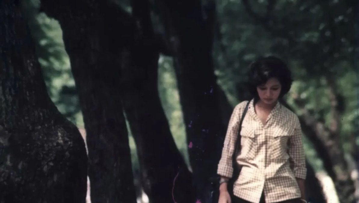 Nguyên Thi Lan Hanh, sur un renouveau